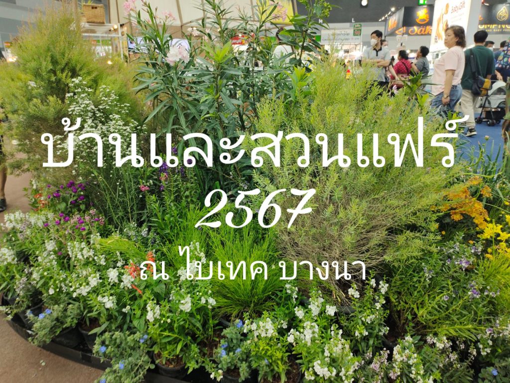 ผังงานบ้านและสวนแฟร์ Midyear 2024